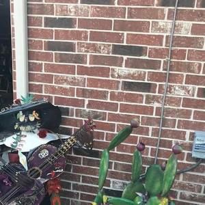 Meet your Posher, Kurt